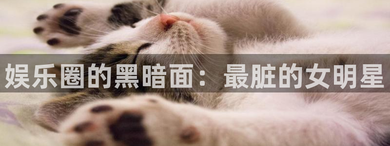 摩臣5平台下载官网入口在哪
