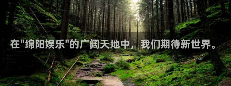 摩臣5平台网站